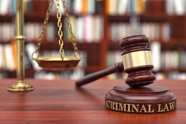 Criminal Defence Lawyer