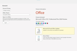 Microsoft Office 2024