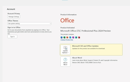 Microsoft Office 2024