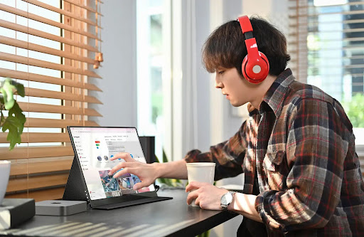 Portable Monitor