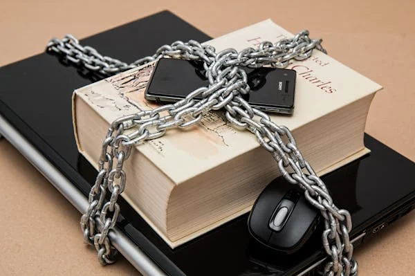 zryly.com cybersecurity
