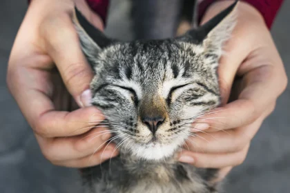 Grooming